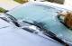 El frio iria disminuyendo durante la semana