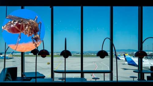 Dos trabajadores murieron de malaria tras la llegada de mosquitos en vuelos al aeropuerto de Fráncfort