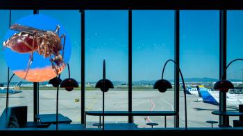 Dos trabajadores murieron de malaria tras la llegada de mosquitos en vuelos al aeropuerto de Fráncfort