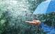 Lunes y martes con pronóstico de lluvias