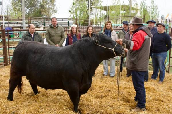Comienza el centenario de la Expo Rural en Santa Rosa con una agenda repleta de actividades