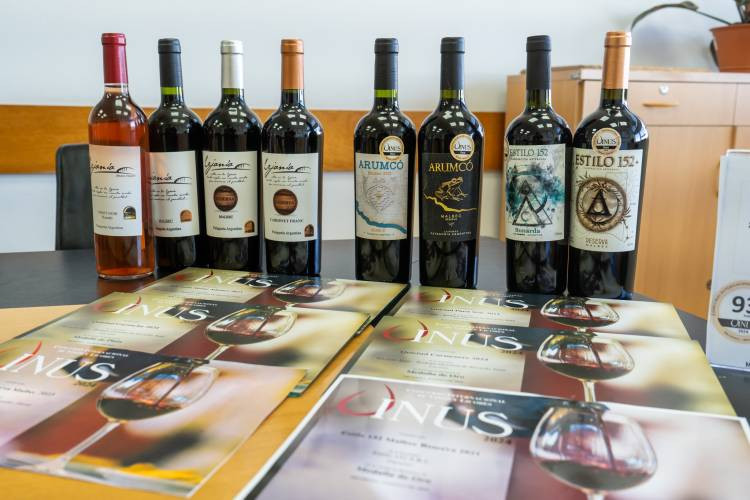 Vinos pampeanos siguen cosechando reconocimientos internacionales