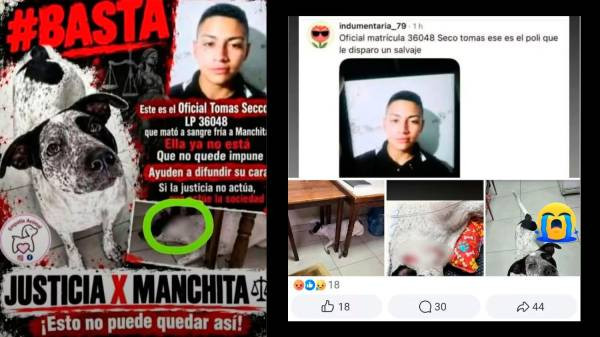 Conmoción: un policía mató de un tiro a una perra en una comisaría porteña