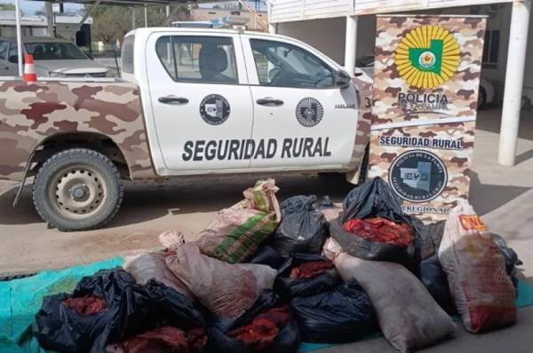 Incautan y destruyen más de una tonelada de carne equina clandestina en la Ruta 151