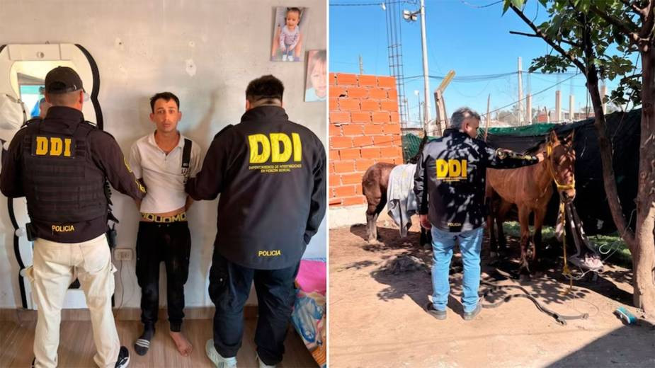 Cayeron por faenar caballos de polo para vender la carne y uno de ellos era un prófugo pesado