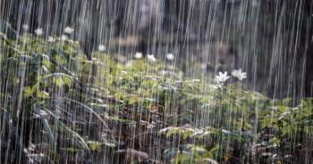 Los registros de las lluvias en La Pampa