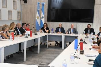 Salud Mental: La Pampa se posiciona contra las desregulaciones de la Ley Ómnibus