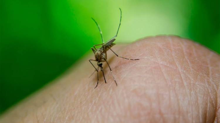 Corrientes: tras varios días de internación, murió un adolescente de 14 años por dengue