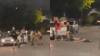 VIDEO: salía del boliche de festejar su cumpleaños y le dieron una brutal trompada