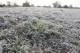 Jornada bajo cero: la sensación térmica tocó los -4,6°C en la capital provincial