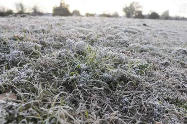 Jornada bajo cero: la sensación térmica tocó los -4,6°C en la capital provincial