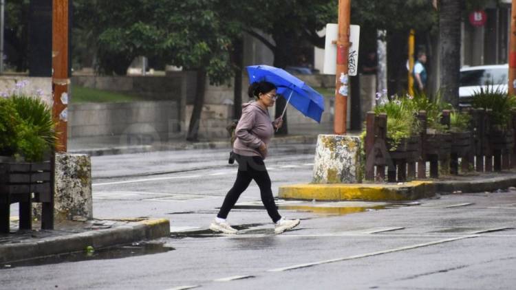 Pronóstico trimestral del SMN: advierten por lluvias superiores a la media y marcas térmicas bajas en la primavera