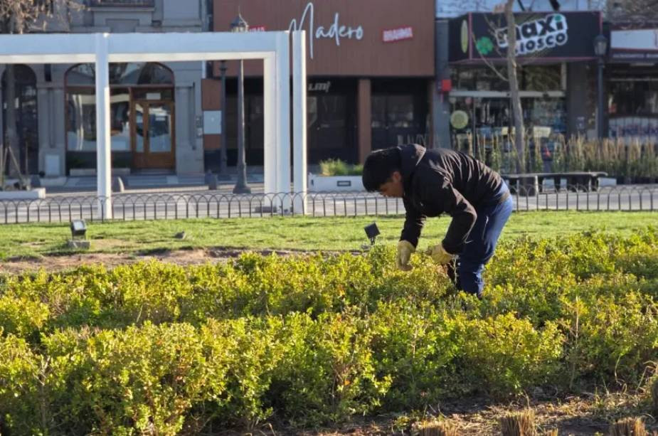 Operativo de reforestación y puesta en valor en la histórica Plaza San Martín