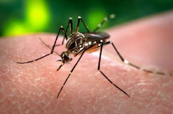 Brasil ya registra más de un millón de contagios en lo que va del año