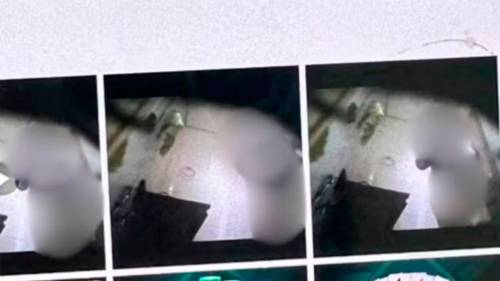 Escándalo en Brasil: un empresario fue denunciado por filmar a su empleada desnuda en el baño