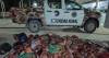 Levaba 400 kilos de carne de caballo de 25 de Mayo a Catriel