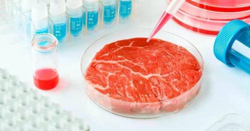 China autorizó la producción masiva de proteína fúngica y dio un giro estratégico en su política alimentaria
