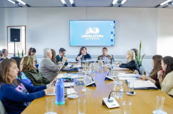 Avanza en la Legislatura pampeana el proyecto para declarar a octubre como el mes de la salud mental