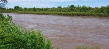Crecida extraordinaria del rio Colorado afecta la zona de 25 de Mayo