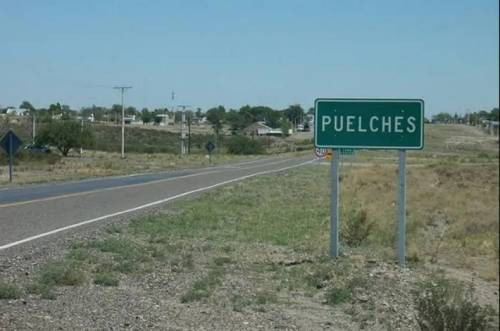 Conmoción en Puelches por el envenenamiento serial de seis perros y la advertencia de los vecinos
