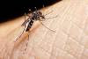 Brote histórico de dengue en Argentina: confirmaron 129 muertes y más de 180.000 casos