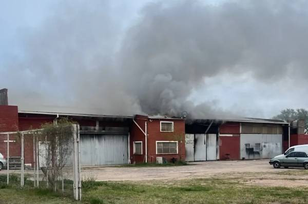 Investigan las causas de un incendio que destruyó un sector de un taller mecánico y afectó a un auto en Santa Rosa