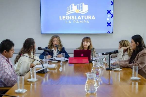 Falla institucional en La Pampa: la Legislatura difundió el nombre del bebé de Rancul en su web oficial