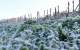 La semana comenzó y seguirá con frio