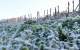 La semana comenzó y seguirá con frio