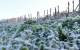 La semana comenzó y seguirá con frio