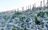 La semana comenzó y seguirá con frio