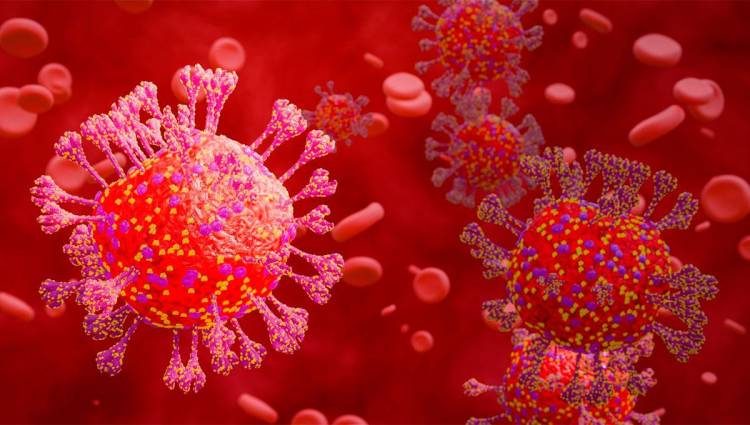 Confirman en el país los primeros contagios del linaje BA.3.2 de COVID-19