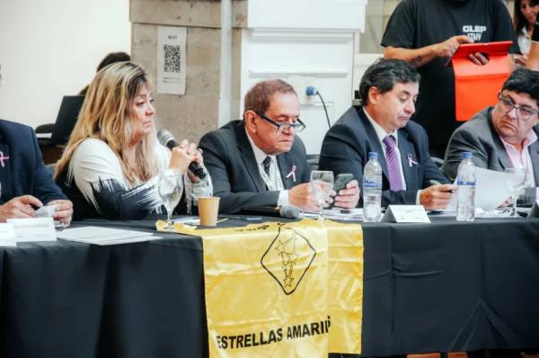 La fundación Estrellas Amarillas reclamó ante defensores del Pueblo nacionales políticas viales urgentes