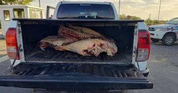 Decomisaron tres cargamentos con más de mil kilos de carne vacuna