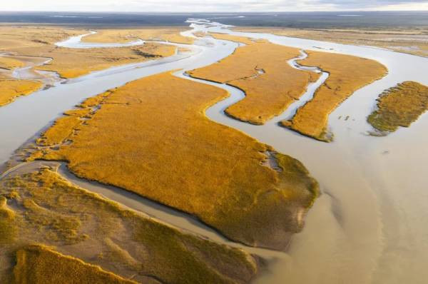 A medio siglo del Tratado del Río Colorado, destacan el valor del consenso institucional en la gestión hídrica