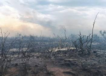 Cerraron el Parque Nacional Lihue Calel a causa del fuego