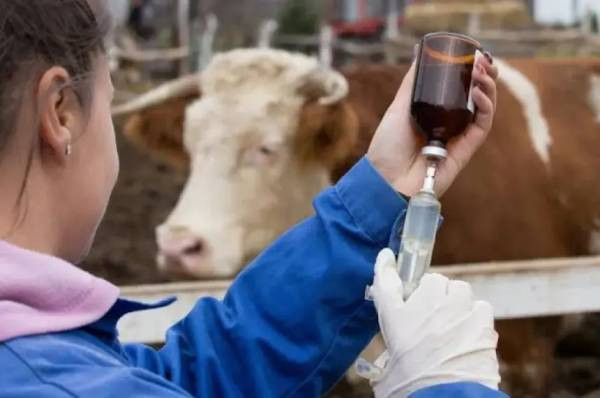 La Pampa expresó su rechazo a la desregulación de la vacuna antiaftosa impulsada por la Nación