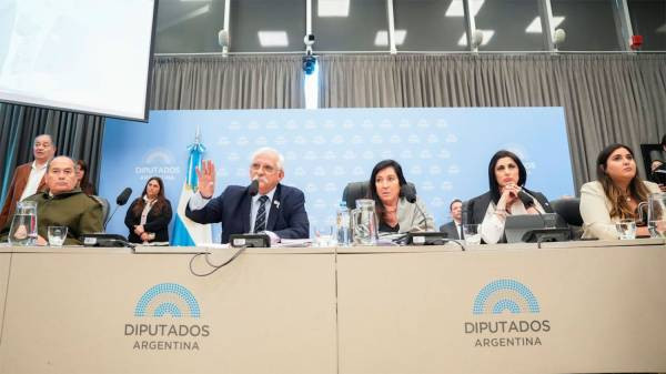 El oficialismo ajusta la iniciativa sobre Malvinas en Diputados para asegurar los avales legislativos