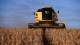 La presión fiscal sobre el agro retrocede pero absorbe más del 50 por ciento de la renta