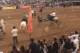 Un grupo de activistas veganos interrumpió una exhibición de caballos en La Rural