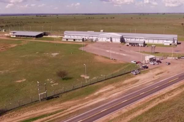 Luz verde para la exportación: el Frigorífico Bernasconi podrá vender carne vacuna a China