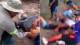 Cinco personas murieron en un feroz enfrentamiento por terrenos en La Matanza