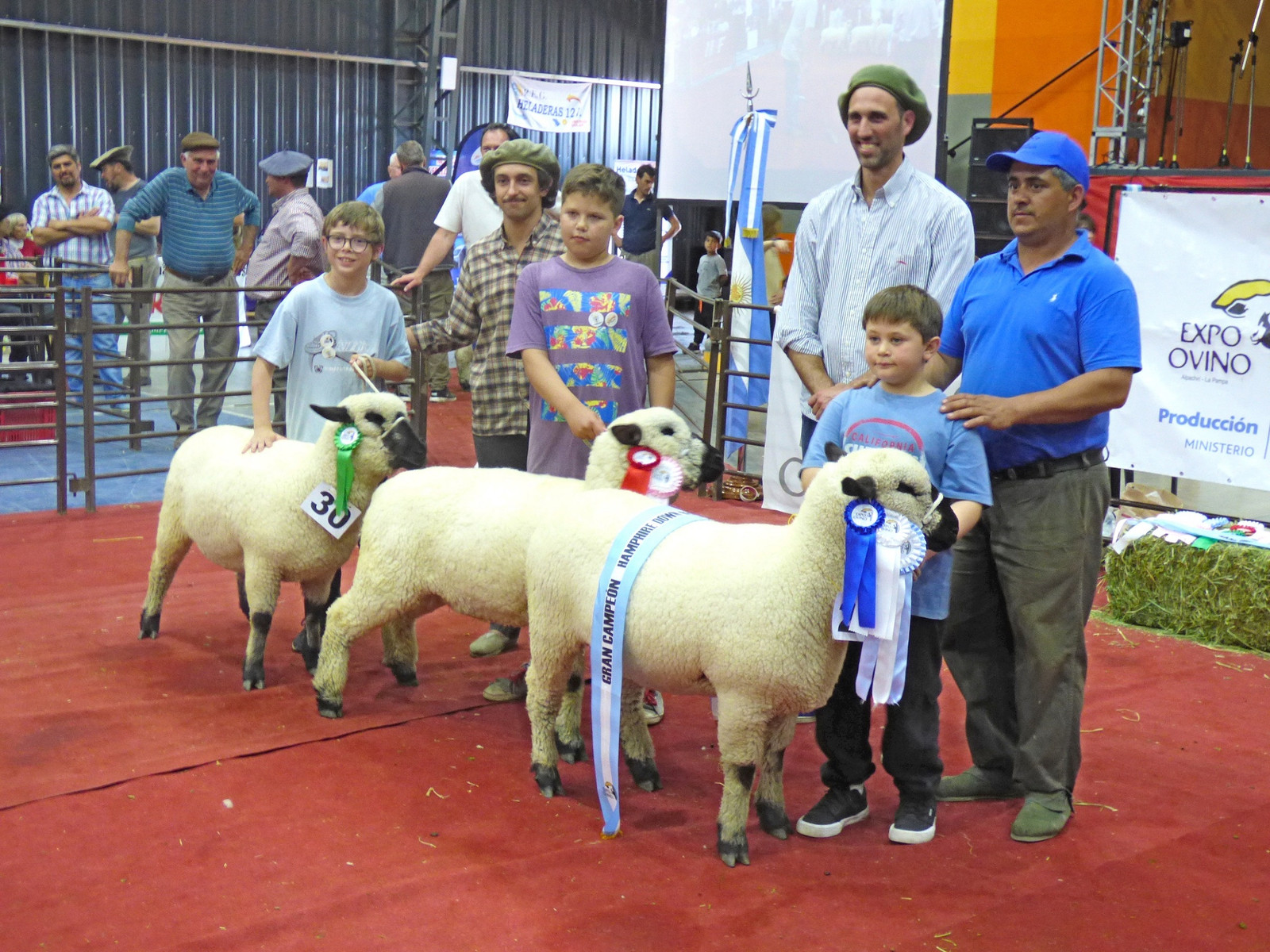 Se realizó la 19° edición de Expo Ovino en Alpachiri