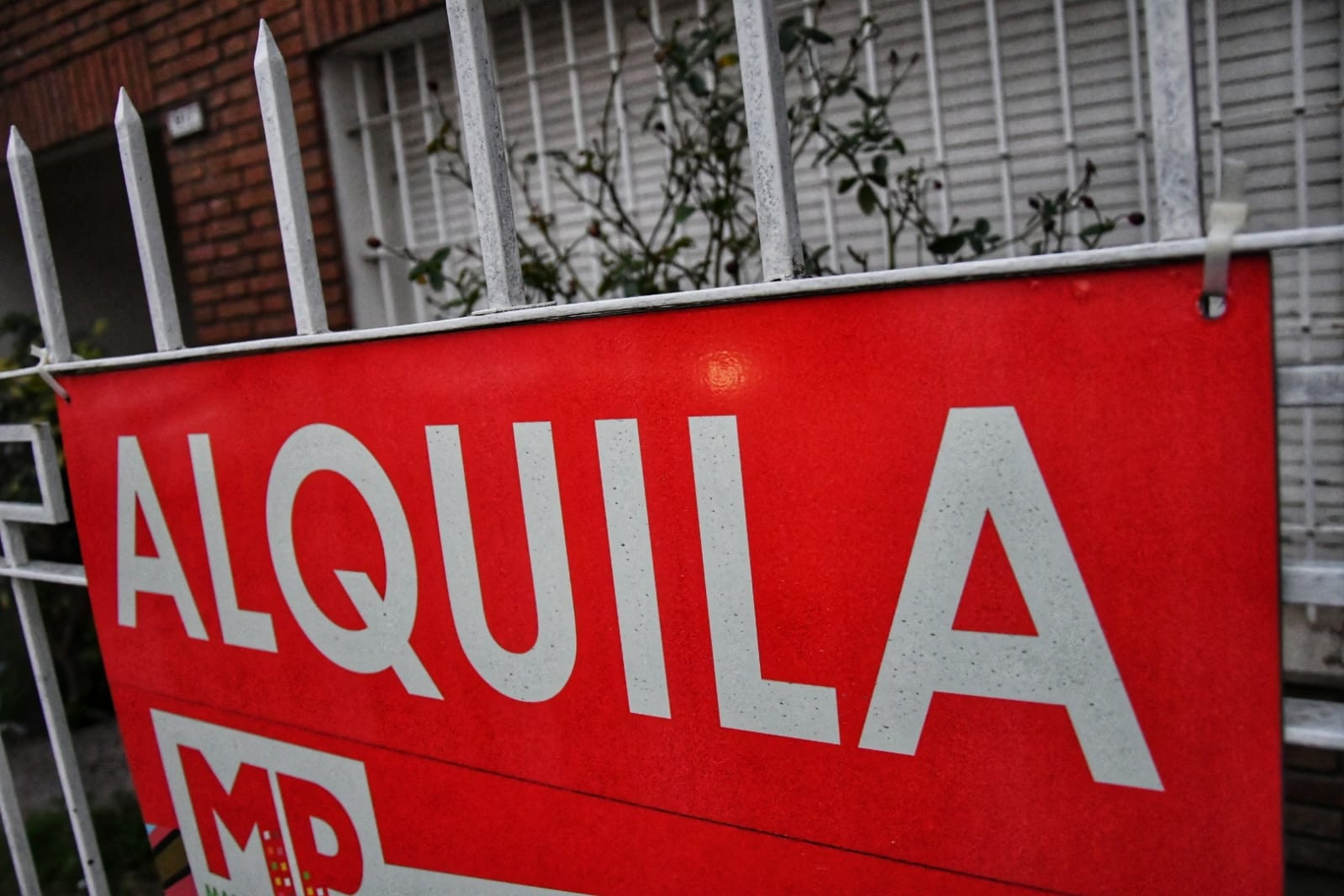 Ley de alquileres: Milei adelantó que planea derogarla